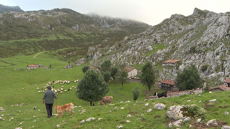 Pilar Amieva, en el Concejo de Onís en el Puerto Alto de Picos de Europa