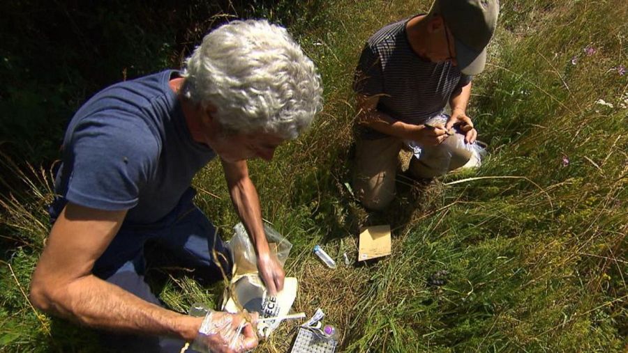 Grupo de investigadores toman muestras biológicas