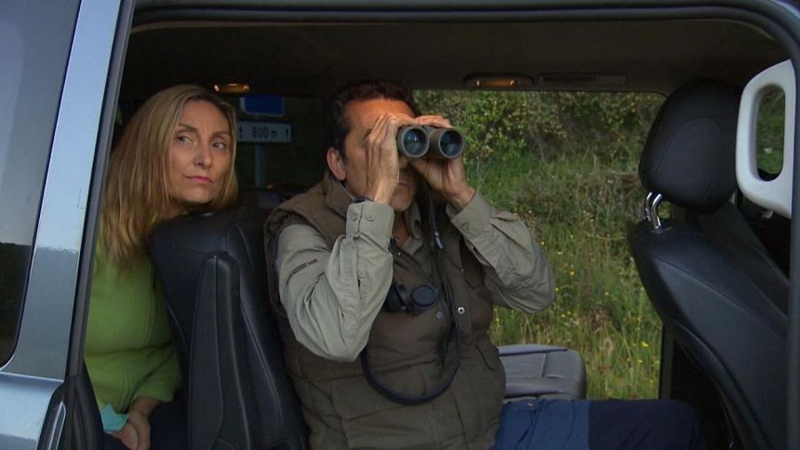 Un grupo de investigadores acude al Parque Natural de la Montaña Palentina para realizar el censo del gato montés