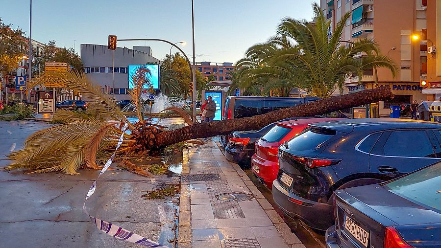 El temporal deja dos muertos y 2.700 incidencias en Andalucía