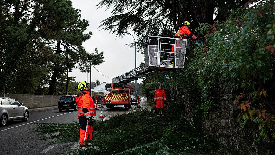 Corte y recogida de un árbol caído por parte de los bomberos en Vilagarcia de Arousa (Pontevedra)
