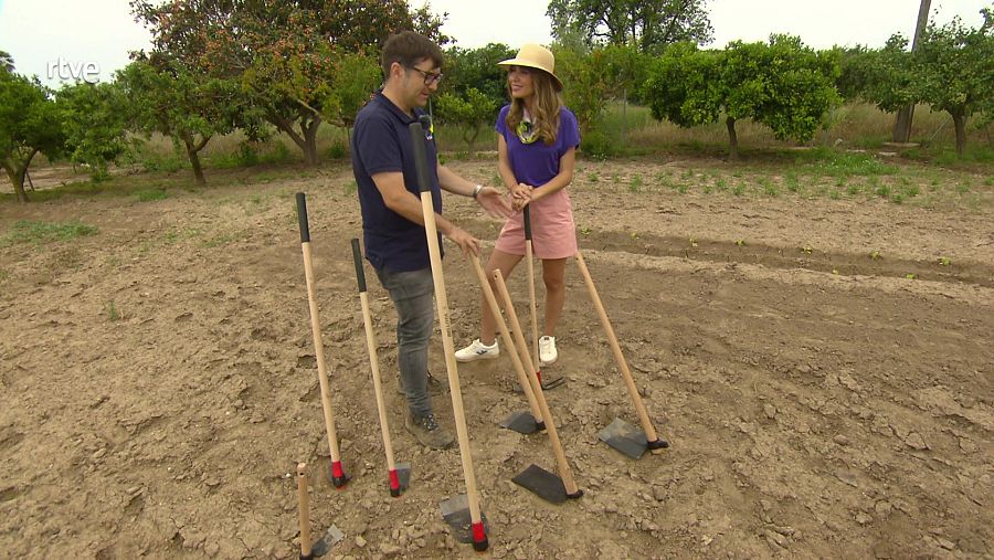 Diferents tipus d'aixades segons la província