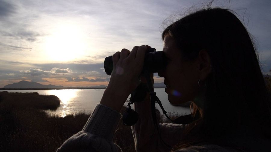 El cambio climático es una de las grandes amenazas para la supervivencia de la fauna
