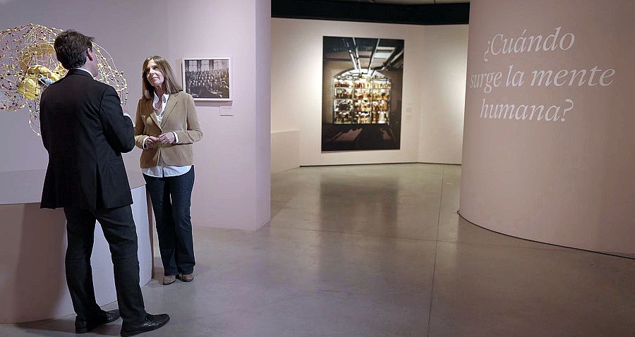 Director del Instituto de Psiquiatría y Salud Mental del hospital Gregorio Marañón de Madrid, Celso Arango.