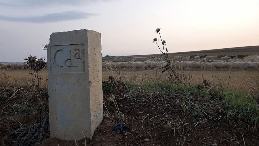 Vías pecuarias de España