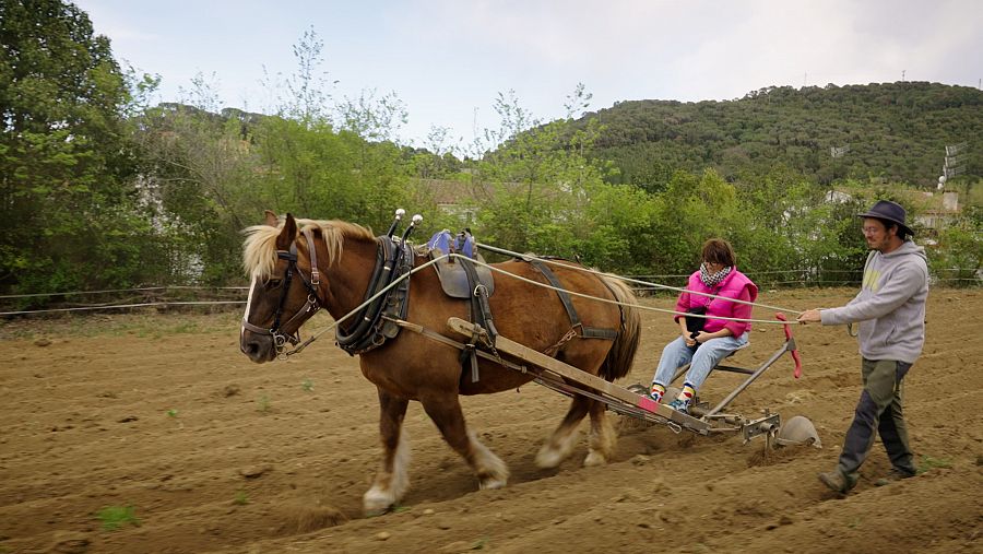 Sílvia Abril cultivant pèsols al camp amb cavalls, amb l'ajuda d'en Pol Dunyó