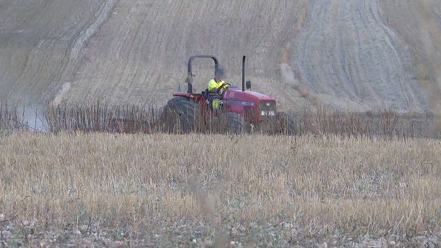 Las inspecciones en las zonas agrarias normalmente son un factor sorpresa