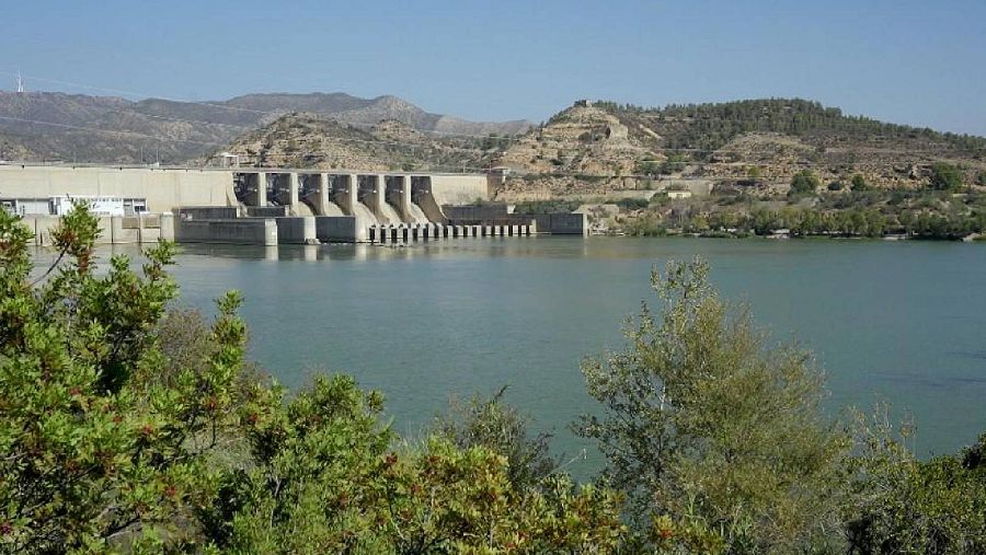 En el pantano de Riba-Roja se detectó por primera vez el mejillón cebra
