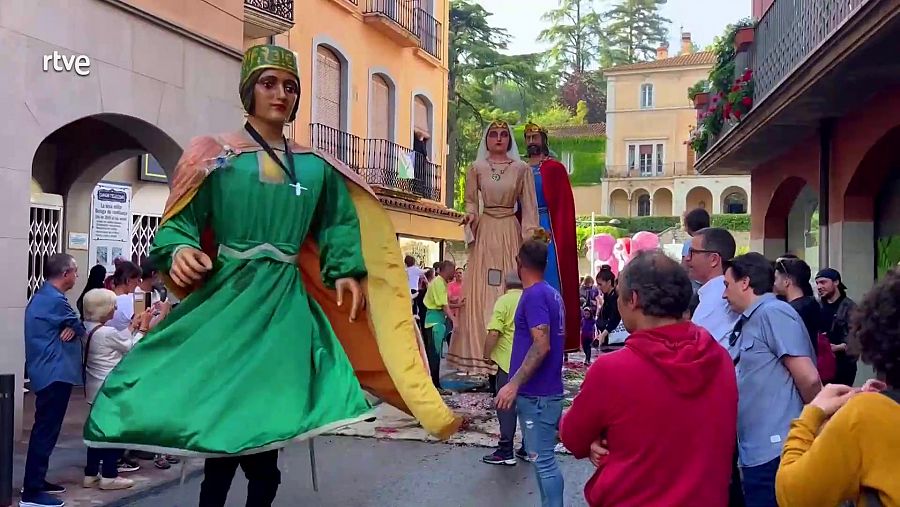 Gegants trepitjant les catifes de flors a Arbúcies