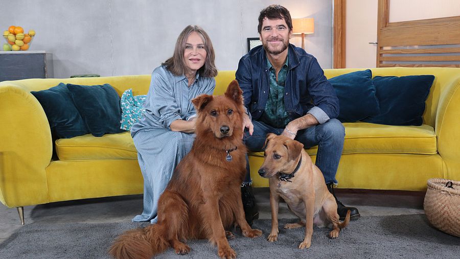 Antonia San Juan y Alfonso Basssave, invitados de Dani Rovira en 'Un día de perros'