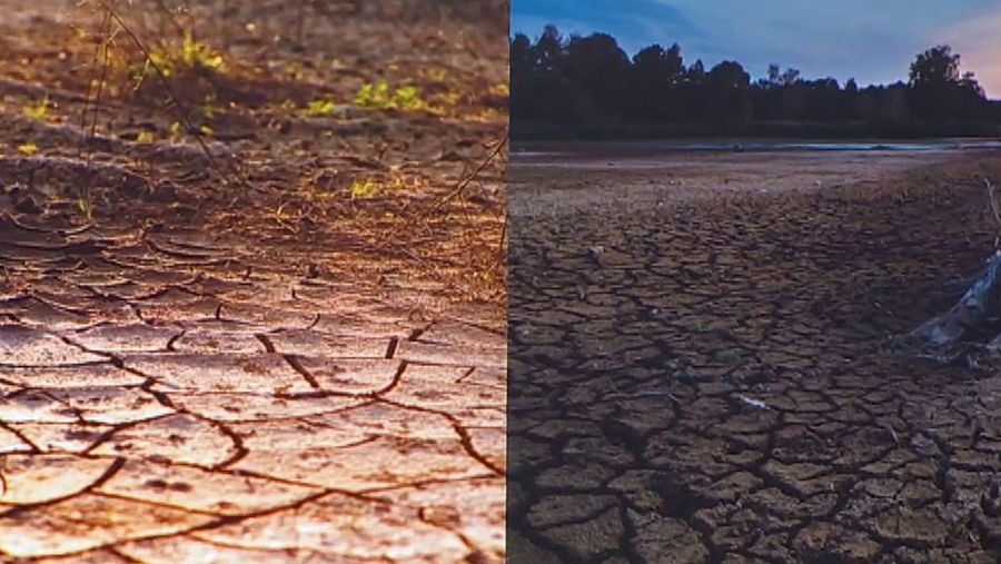 Imagen de tierras afectadas por las sequías