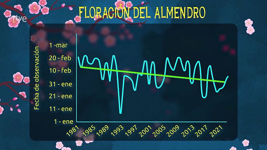 Gráfico de la evolución de la floración de los almendros