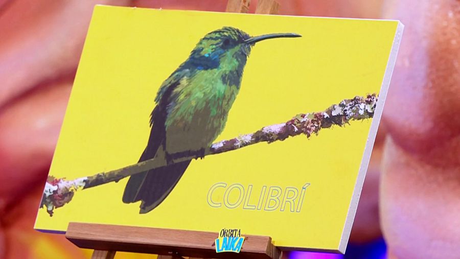 Imagen de un colibrí