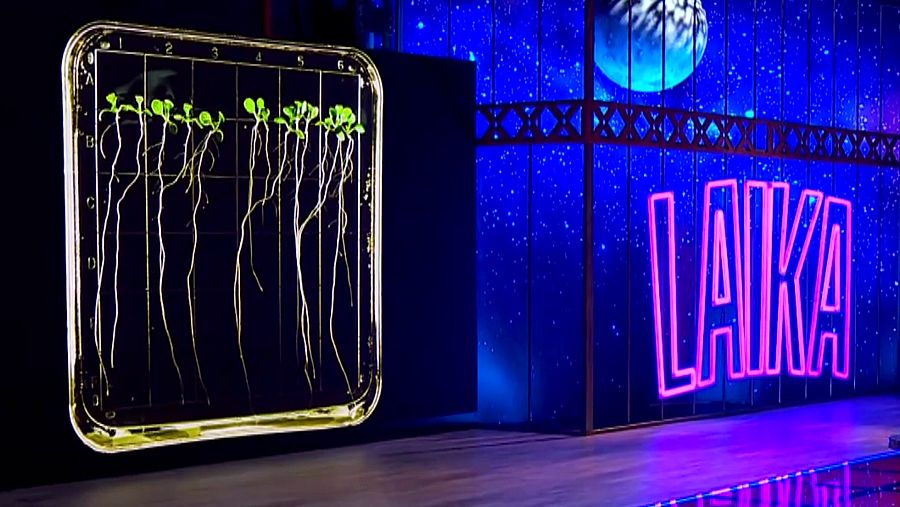 Foto plató Órbita Laika: Cultivos espaciales