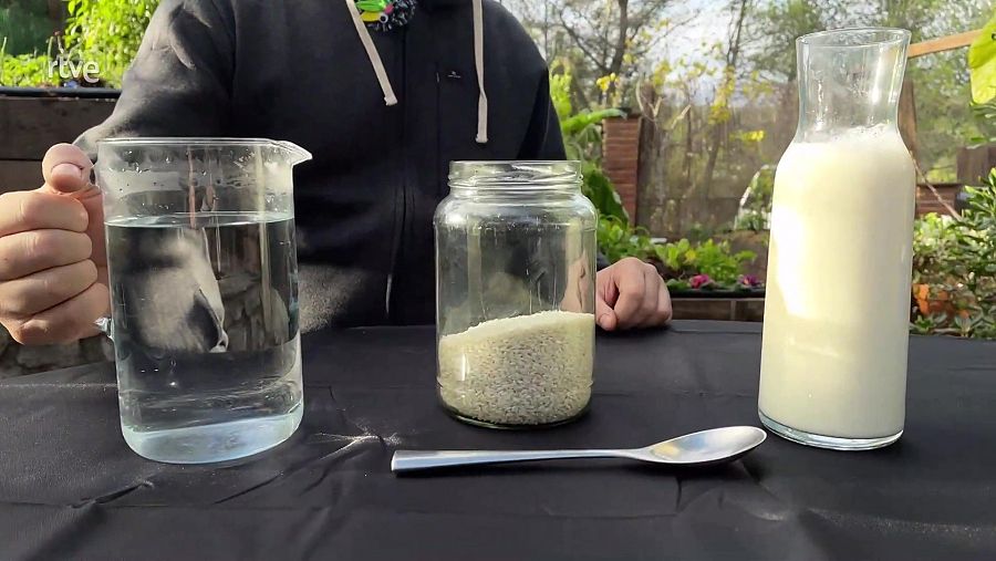 Ingredients lactobacils: arròs, aigua i llet