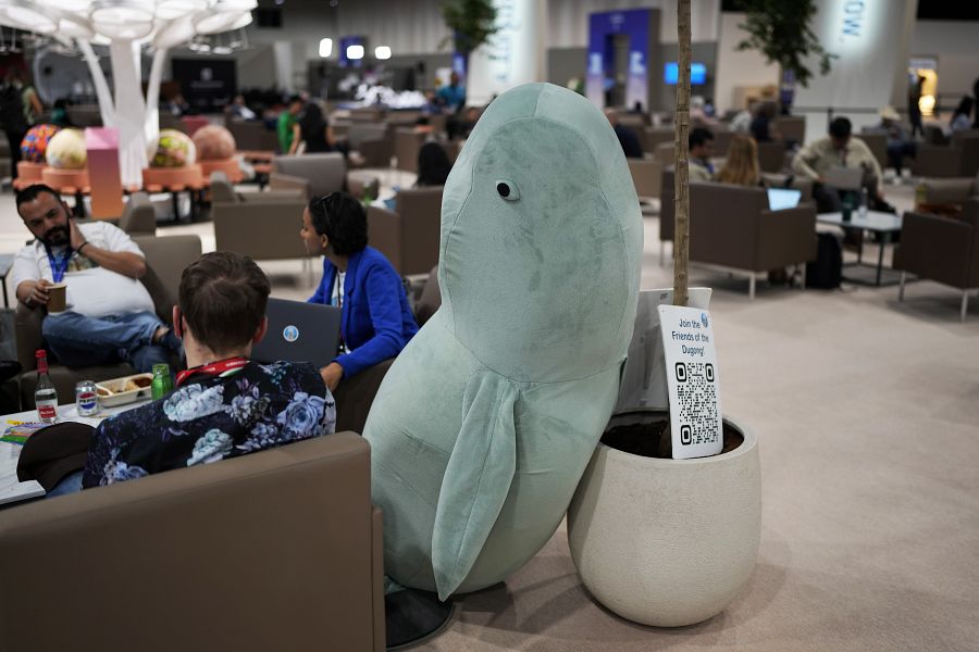 El disfraz de Dugong, descansando