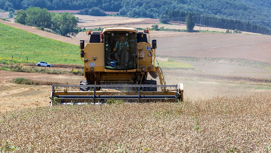 Cosechadora en campo de cereales
