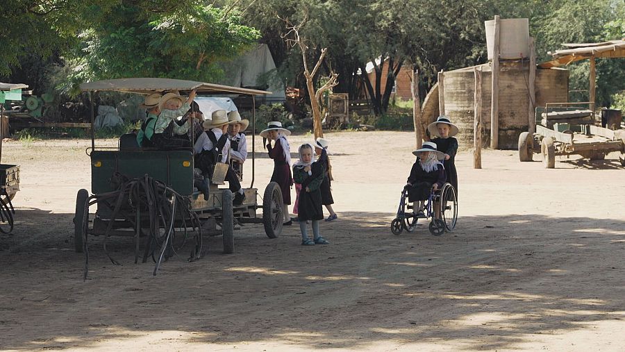 Grupo de niños  menonitas en un carruaje