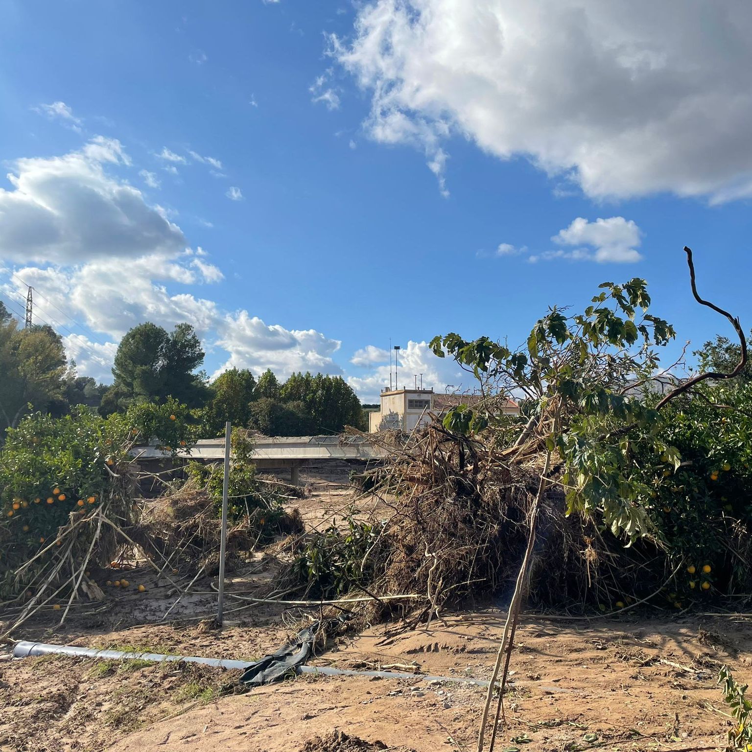 14 horas – La DANA deja a Bugarra sin puentes para ir a recoger naranjas