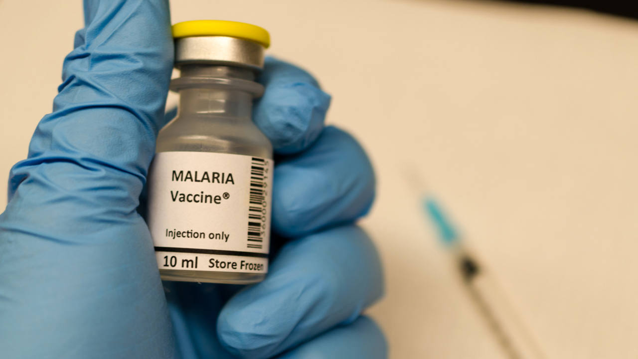 Una vacuna experimental frente a la malaria | RTVE.es