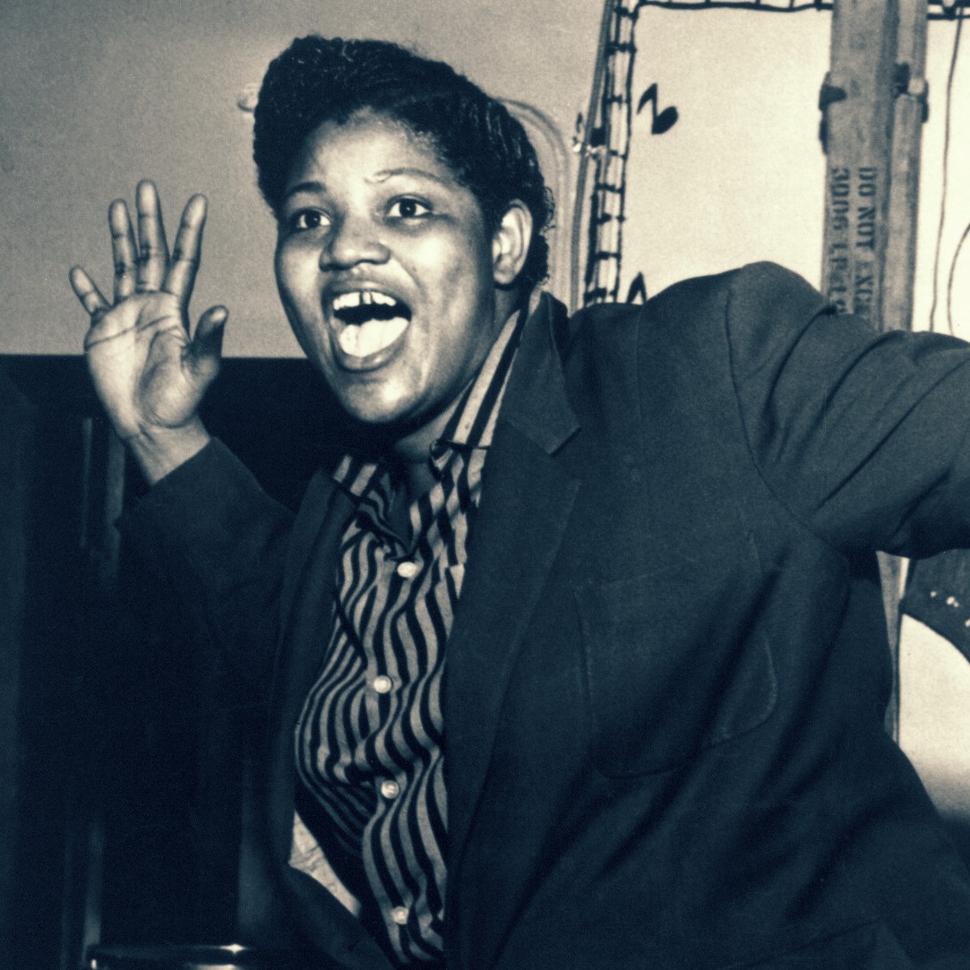 Amordiscos
