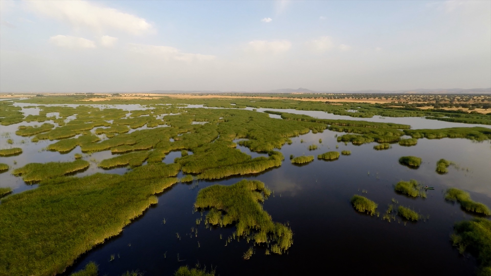 El bosque protector Parques Nacionales. 100 años de Historia RTVE Play