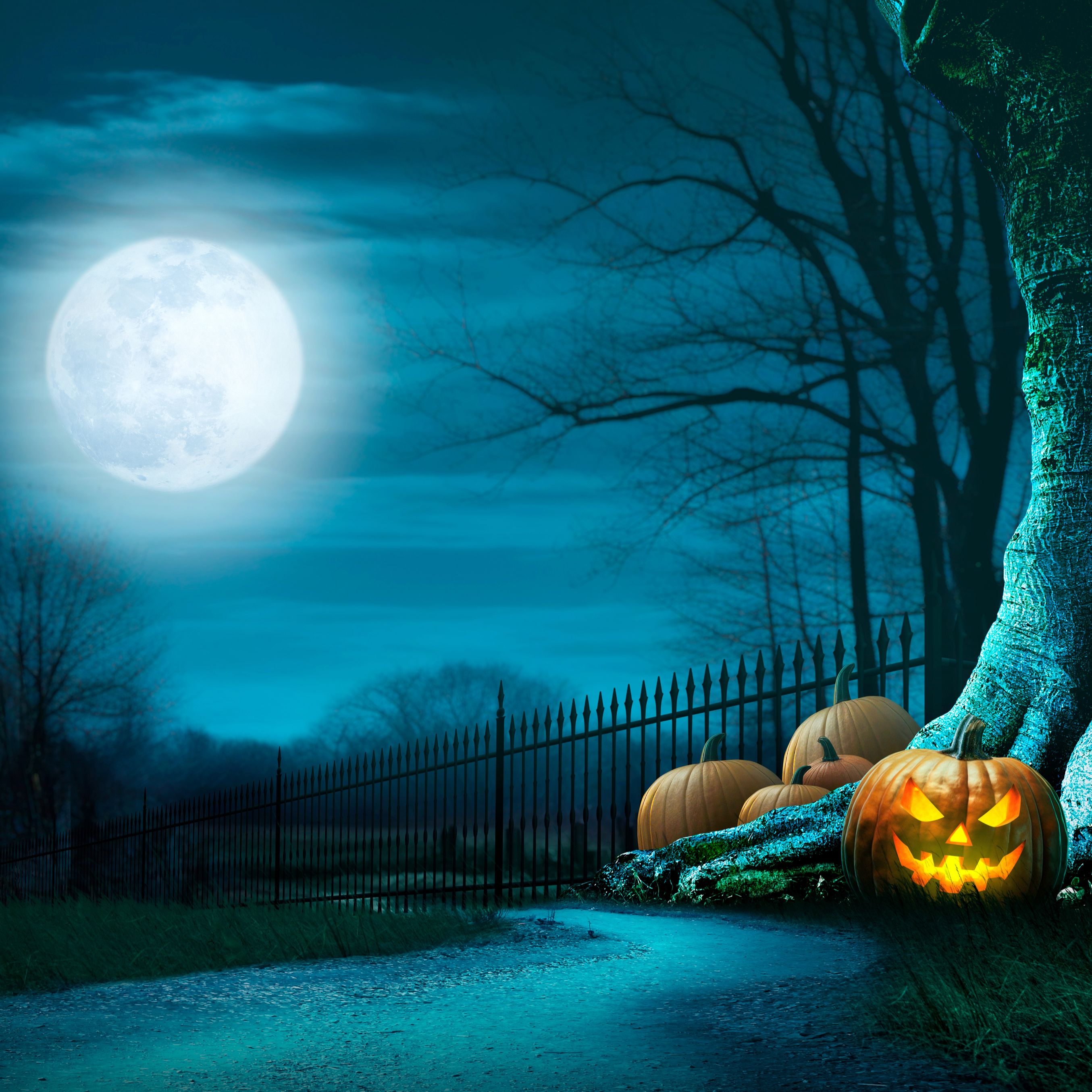 Canal Europa –  De Samhain a Halloween de celebración europea a fiesta globalizada – 01/11/24