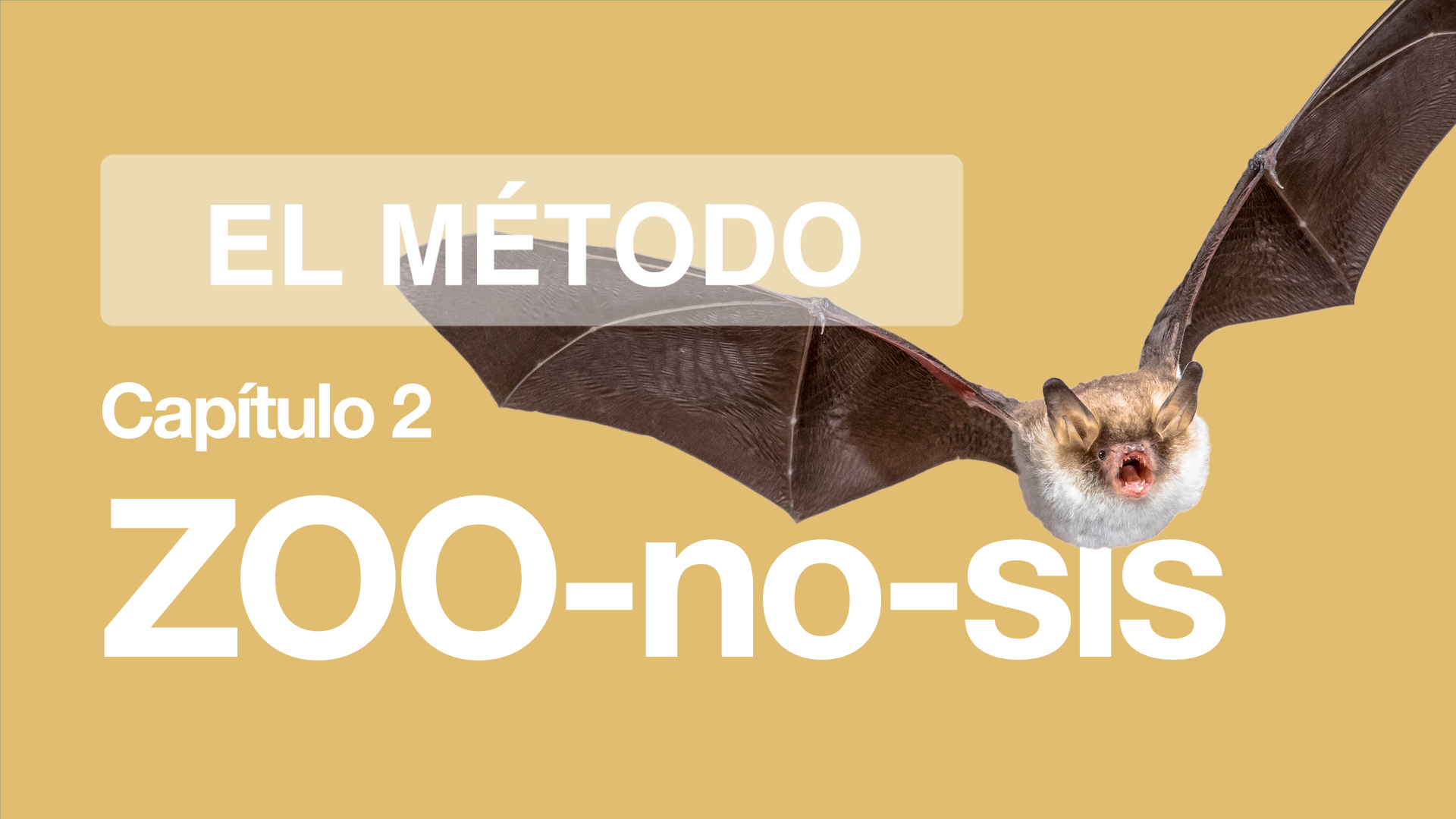 El Método | Capítulo 2: Zoonosis: Respuestas sobre el Coronavirus