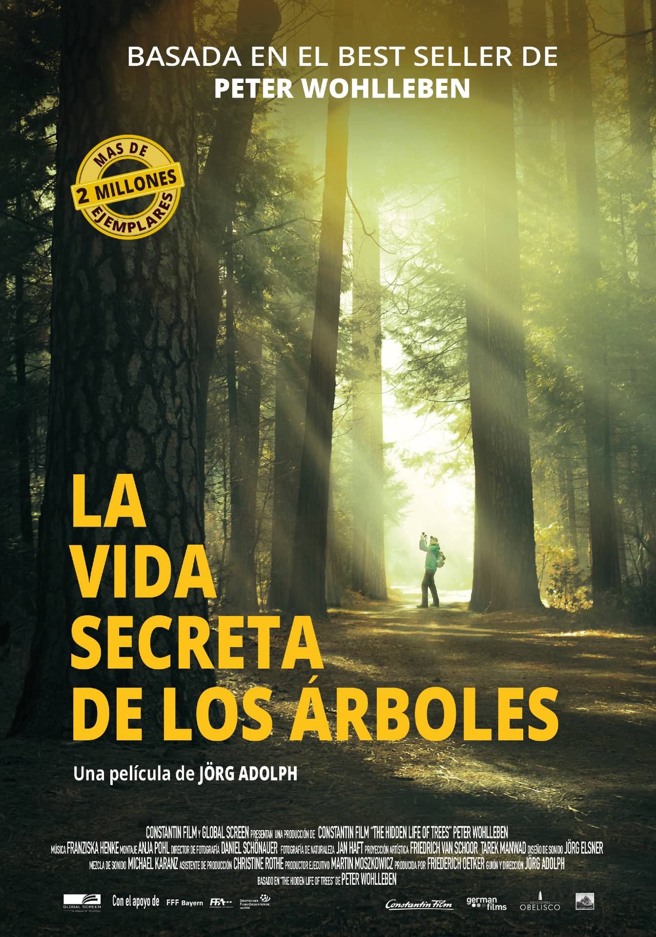 Details 49 la vida secreta de los árboles documental