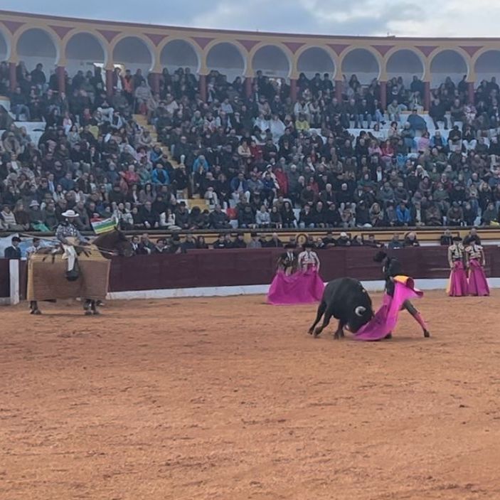 Clarín - Talavante y Tomás Bastos brillan en Olivenza - 09/03/25