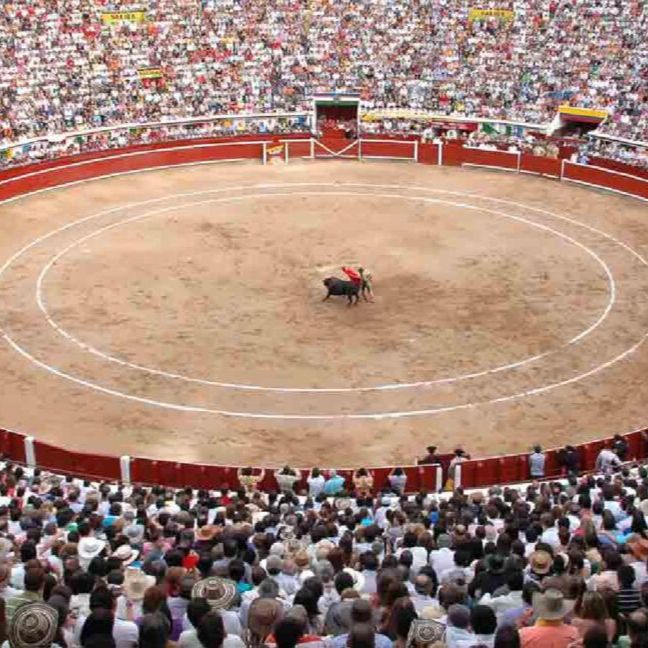 Clarín - Toros en Colombia: ¿hilo de esperanza? - 07/09/25