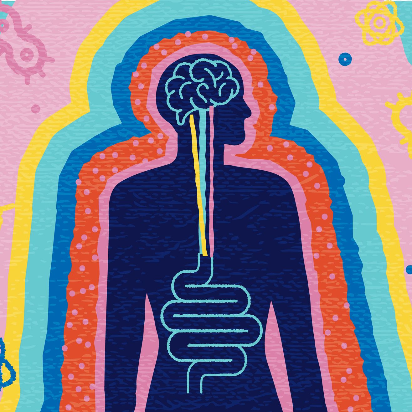 Sapiens - Covid persistente, daño cerebral y microbiota, con Sonia Villapol - 24/03/25