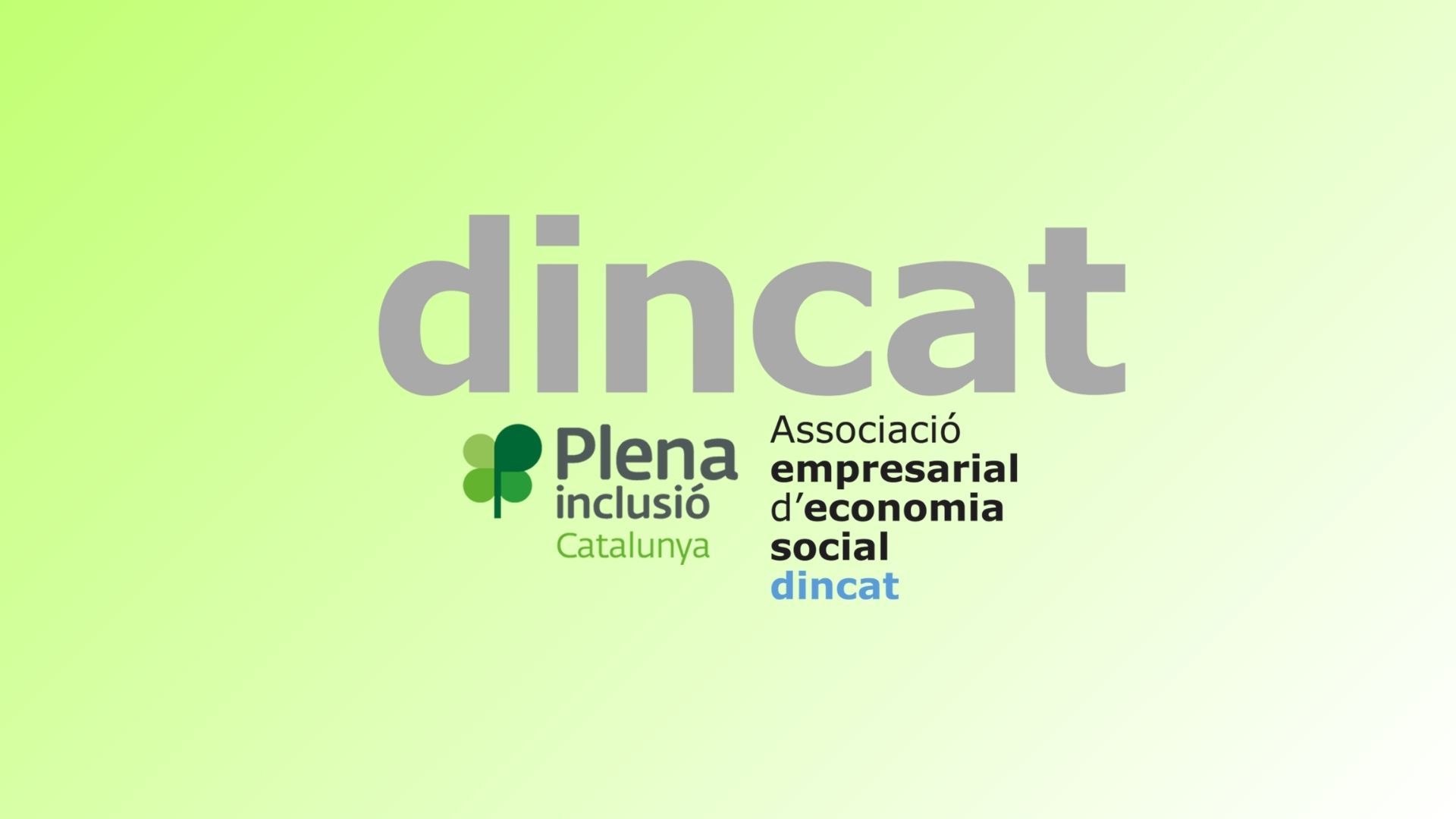 DINCAT denuncia la falta d'inclusió a les aules vuit anys després