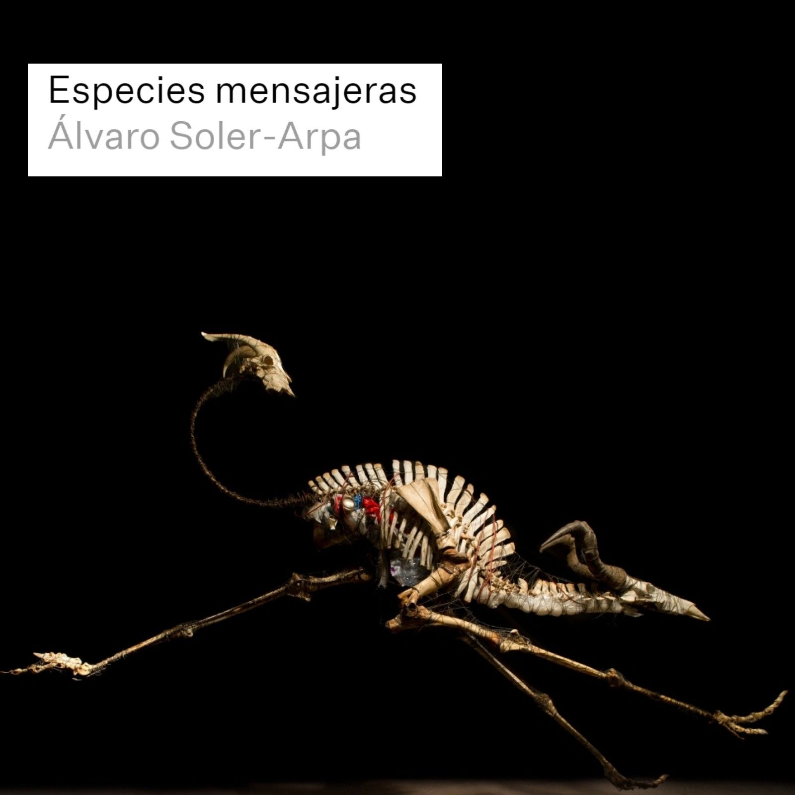 Efecto doppler - Álvaro Soler-Arpa: 'Especies mensajeras' - 17/10/24