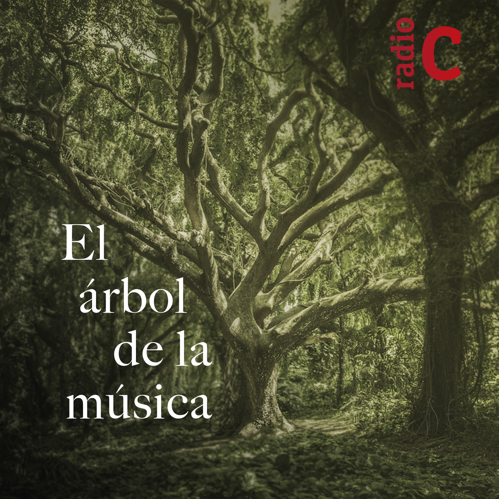 El árbol de la música