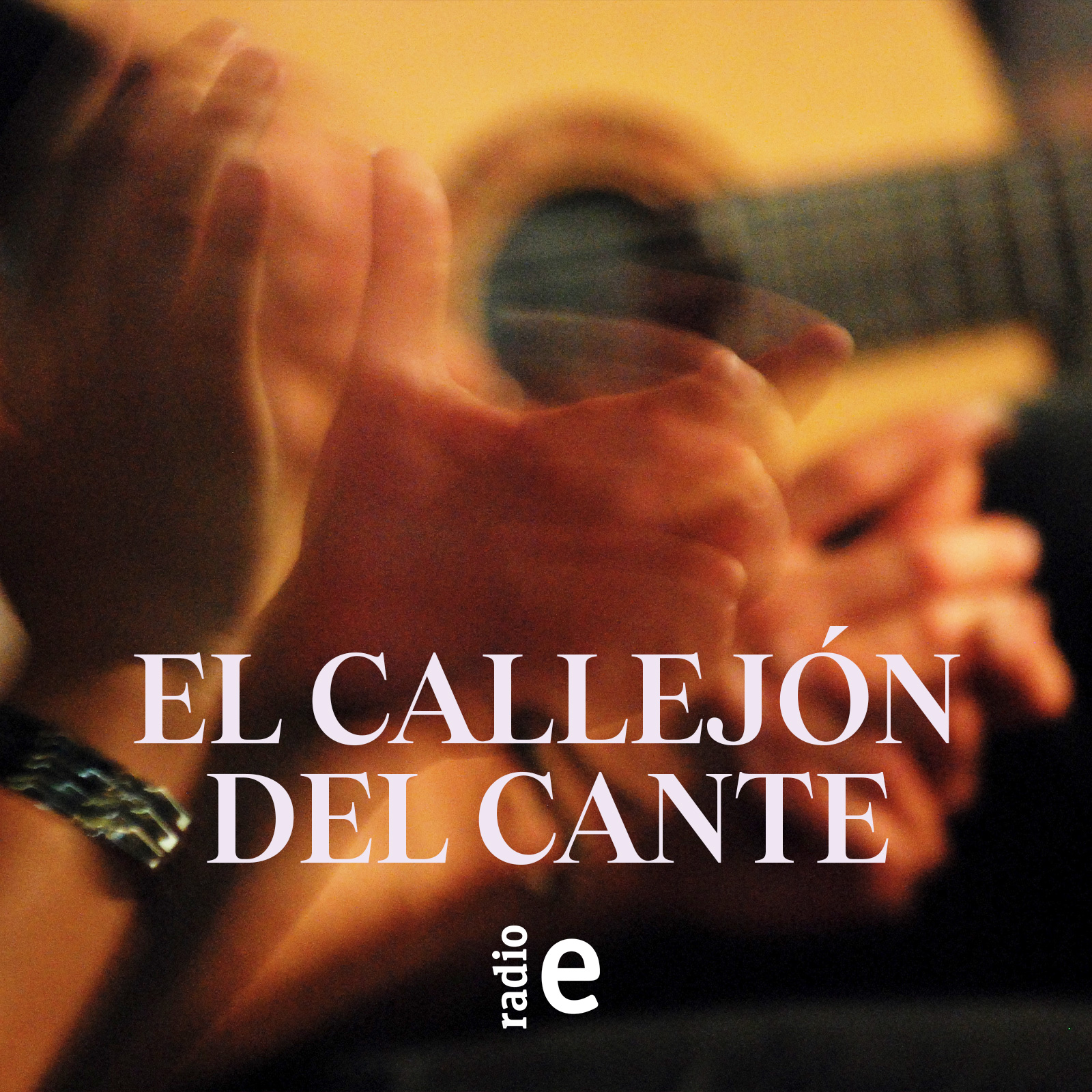 El callejón del cante - Premios Flamenco Hoy - 24/05/14
