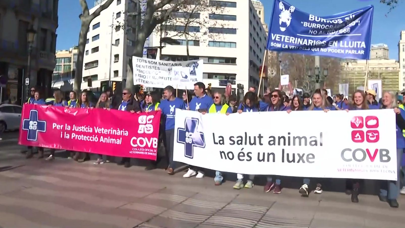 Els veterinaris protesten per reclamar una regulació que respecti el benestar animal