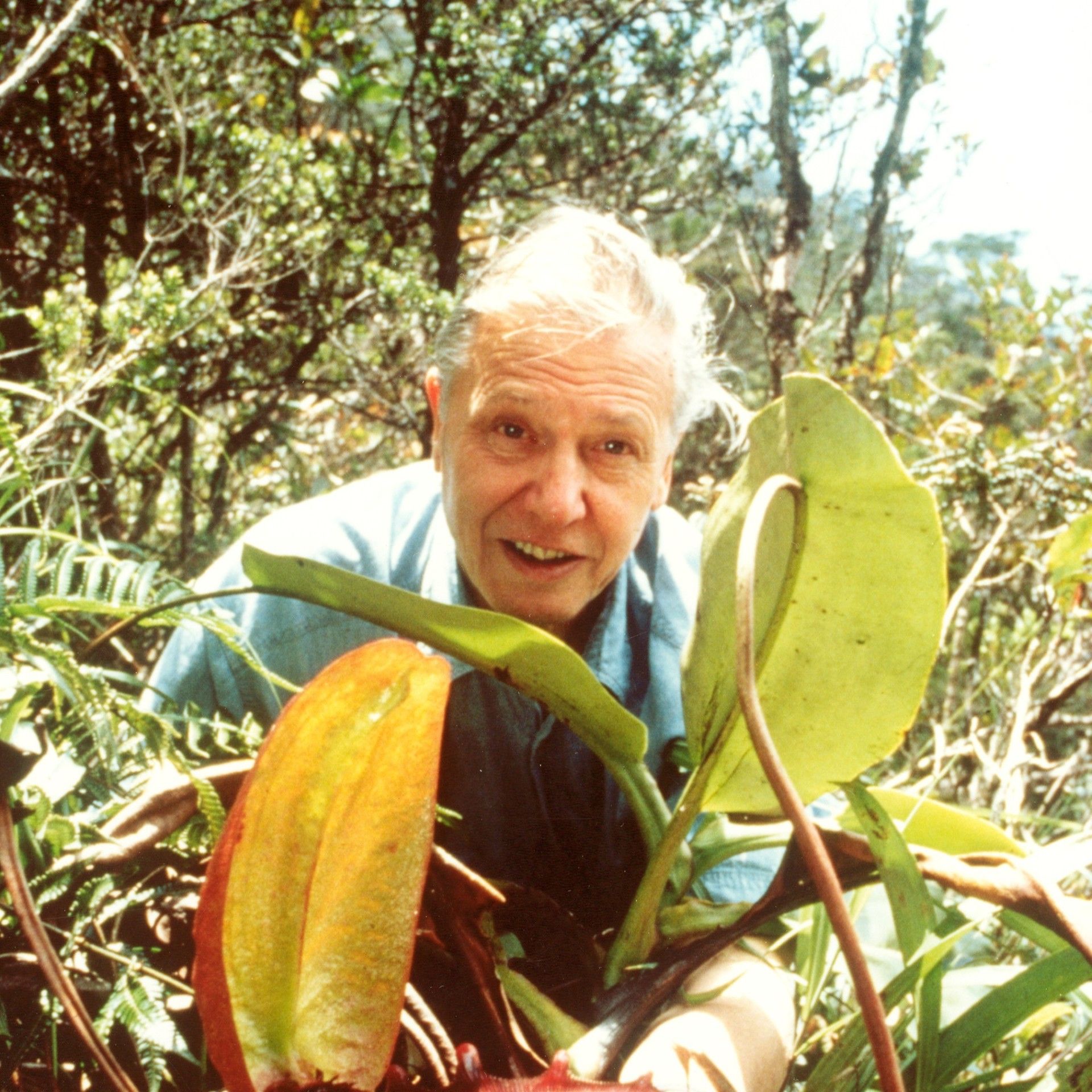 El bosque habitado