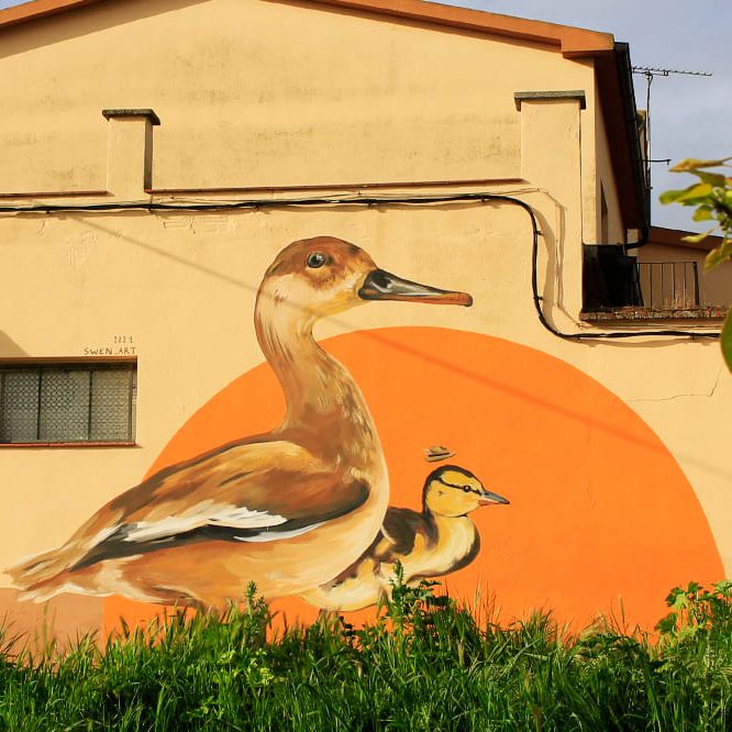 Vida Verda - Una Enciclopèdia mural d'ocells