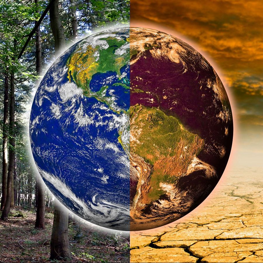 Enfoque Global en REE – Políticas globales para luchar contra el cambio climático – 03/05/25