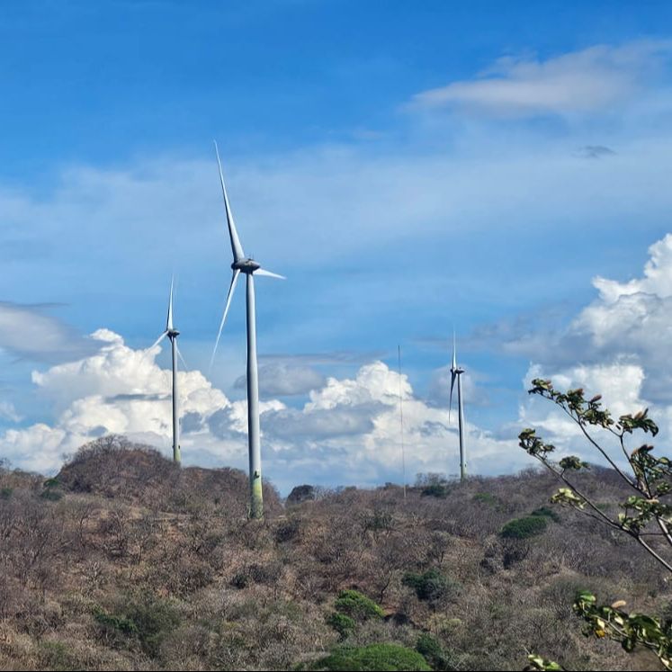 Espacio iberoamericano – Día del Medio Ambiente: energía limpia y equidad – 05/06/25