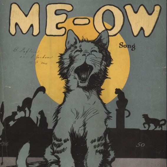 Melodías pizarras - Especial Gatos - 17/05/25
