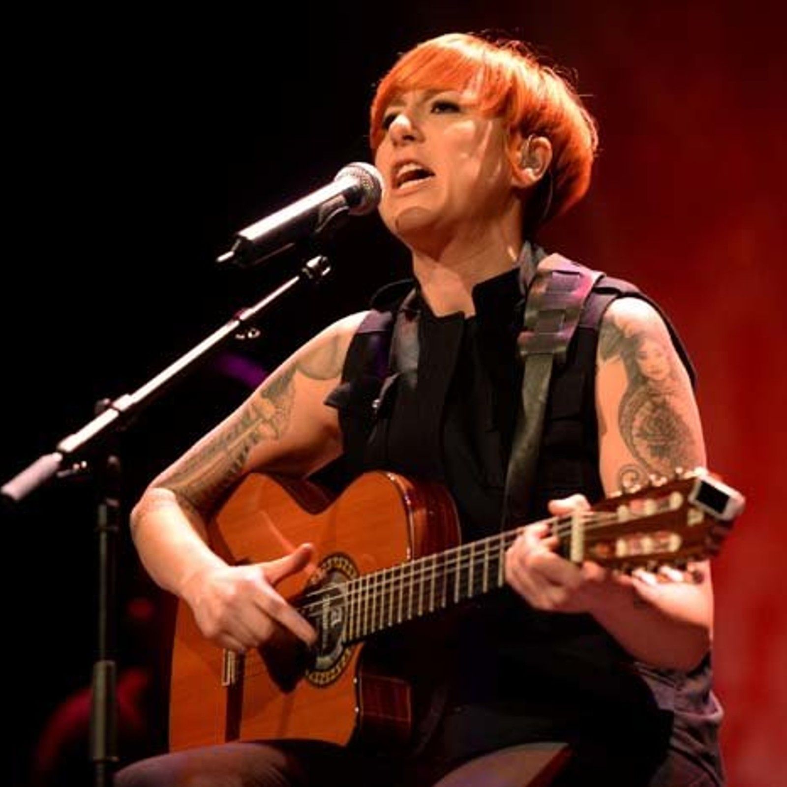 El gallo que no cesa - Ses y sus canciones activistas contra el dolor del mundo
