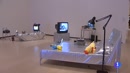 Guggenheim | Weiwei: El Guggenheim inaugura la polémica exposición de arte chino acusada de maltrato animal