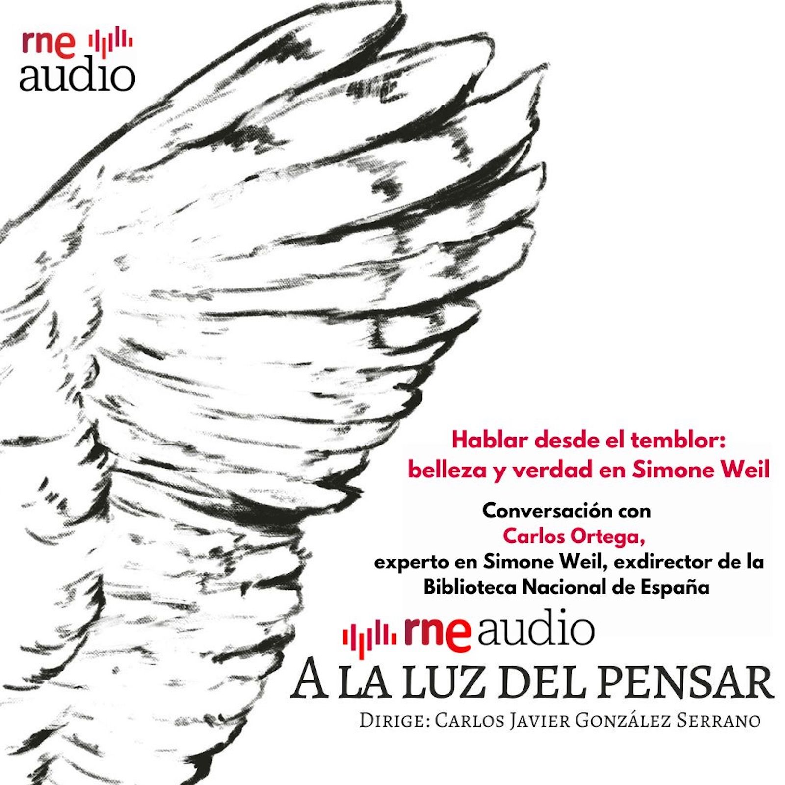 A la luz del pensar