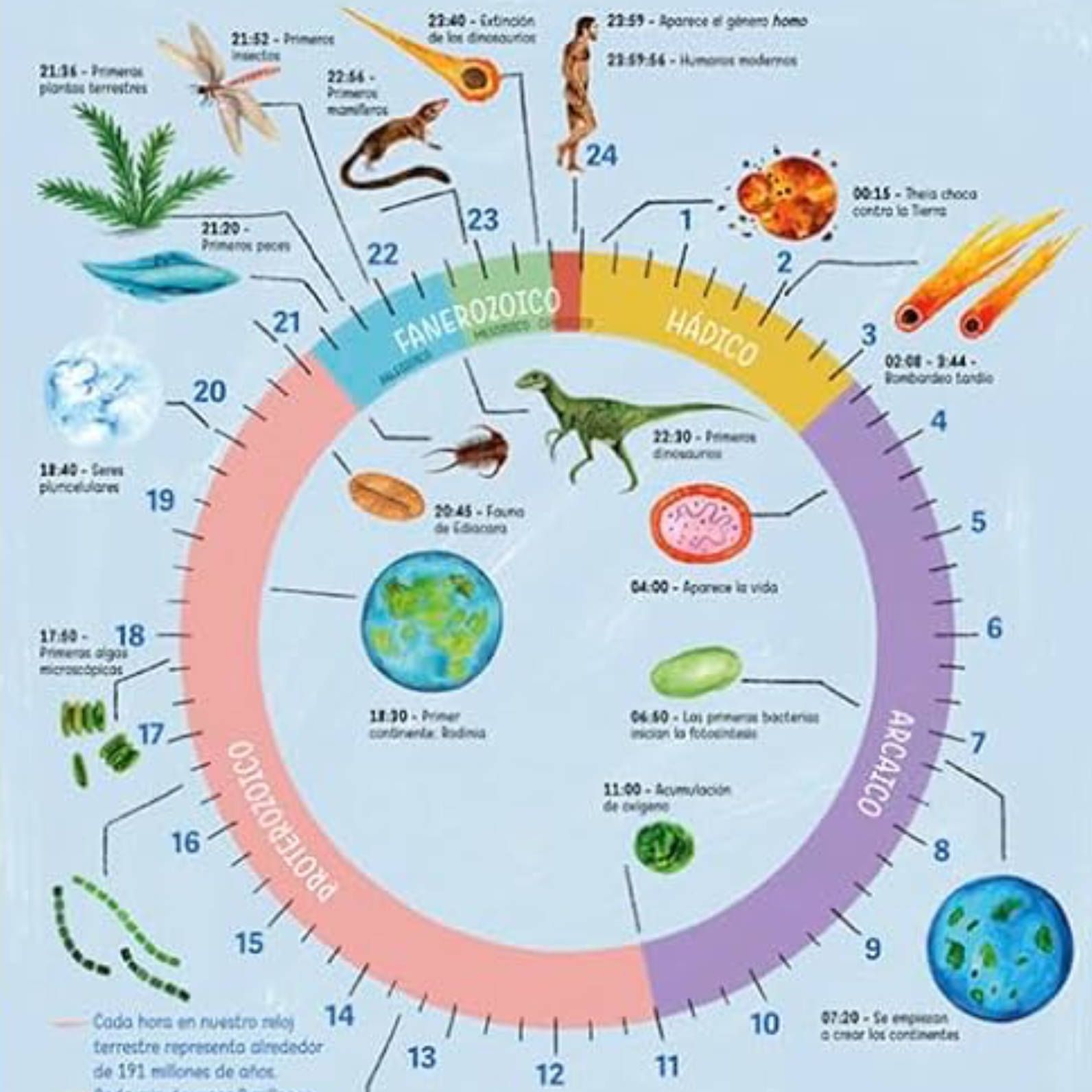 Sapiens - La historia más fascinante del mundo. Con Odile Rodríguez de la Fuente - 20/07/24