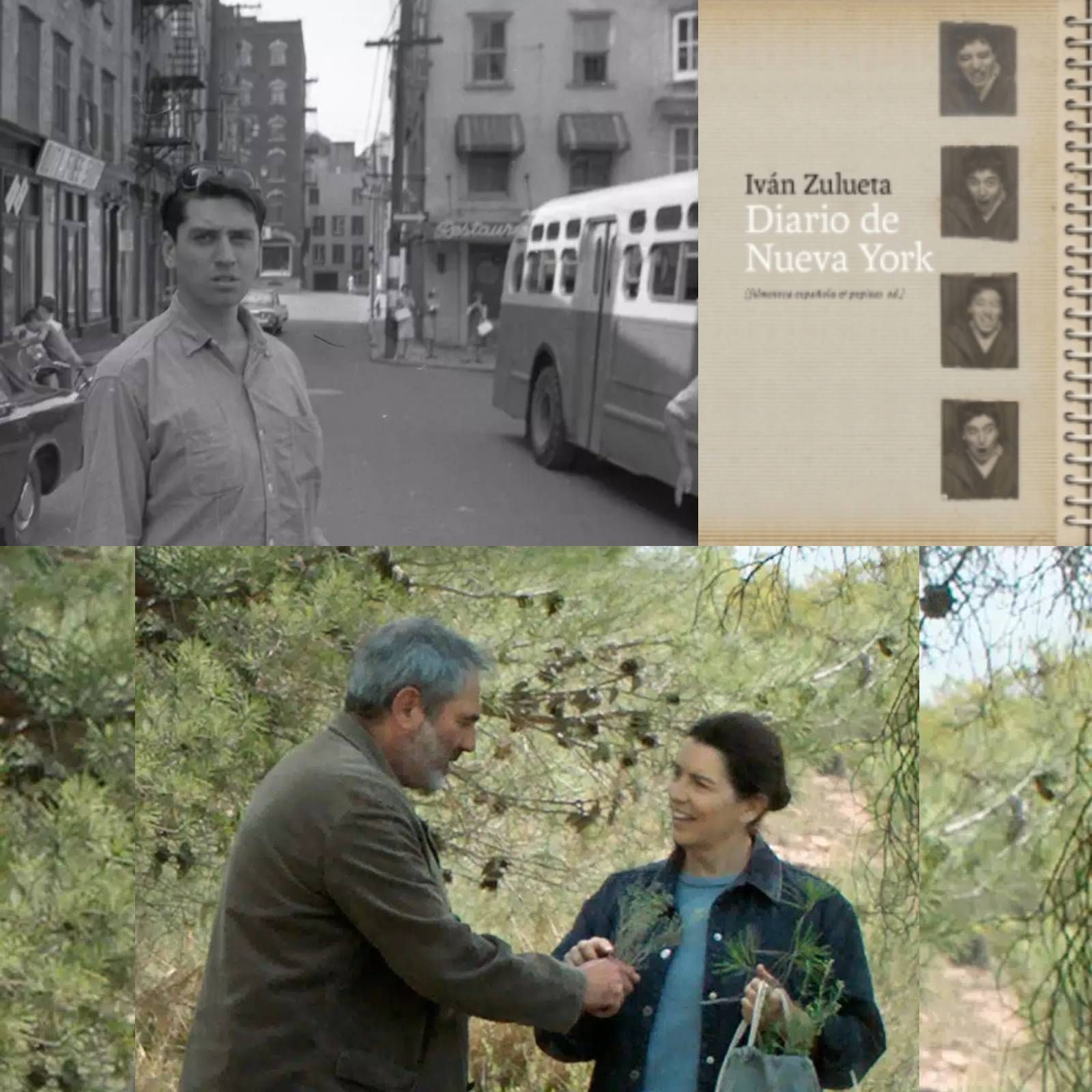 Tres en la carretera - Iván Zulueta: diario de Nueva York y La terra negra - 07/09/25