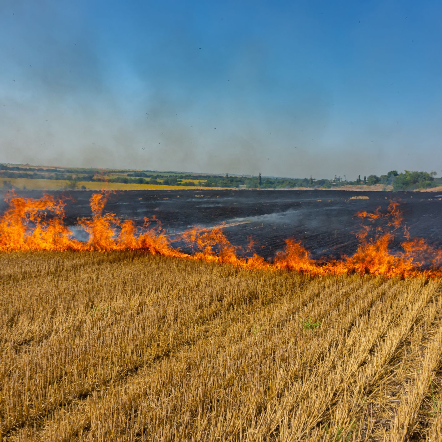 Mundo rural - Impacto de los incendios en el turismo rural - 01/10/25