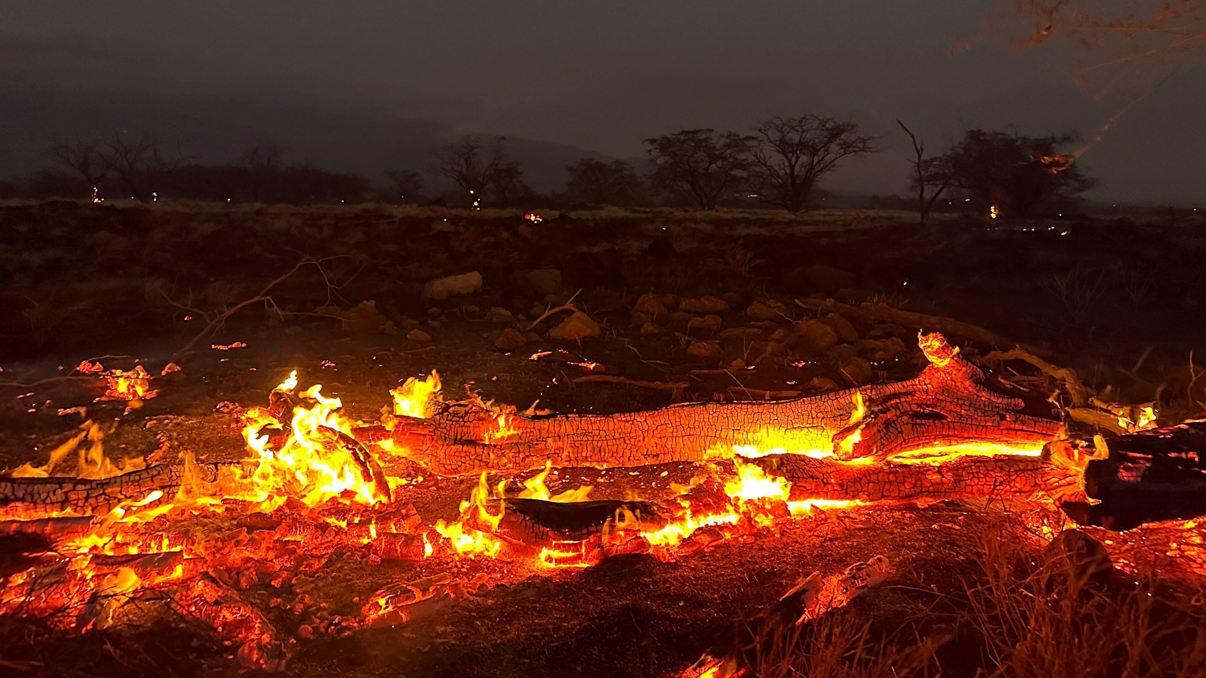 Los incendios que arrasan la isla de Maui dejan escenas "apocalípticas"