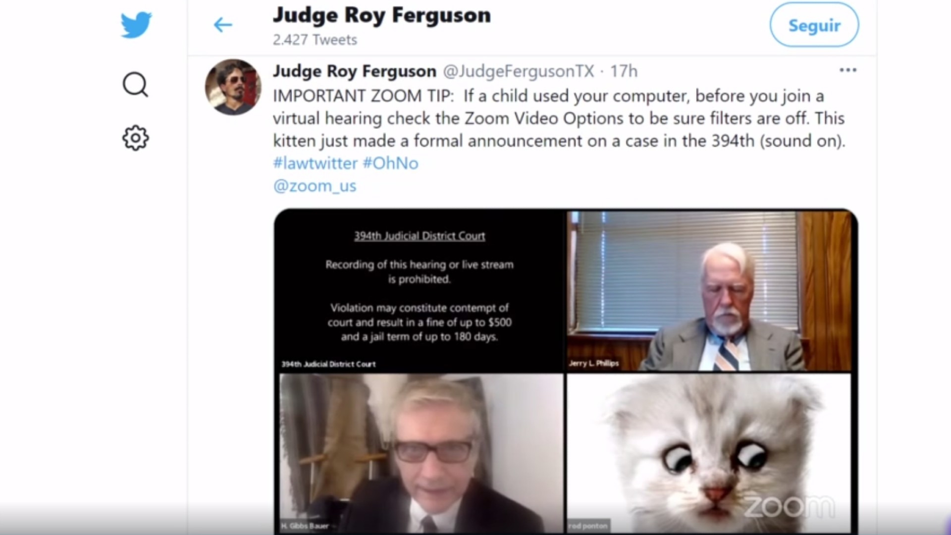 Los inconvenientes del teletrabajo: un juez se olvida de quitar un en una videoconferencia aparece con cara de gato
